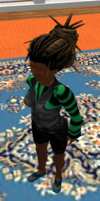 mojopickle ensemble v0 2
