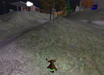 chronical at lower eepaw
