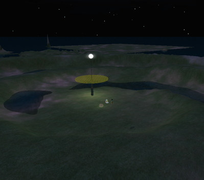 hippocampus at night
