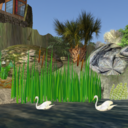 swan_garden.png